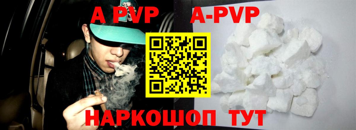 A-PVP СК КРИС Мыски