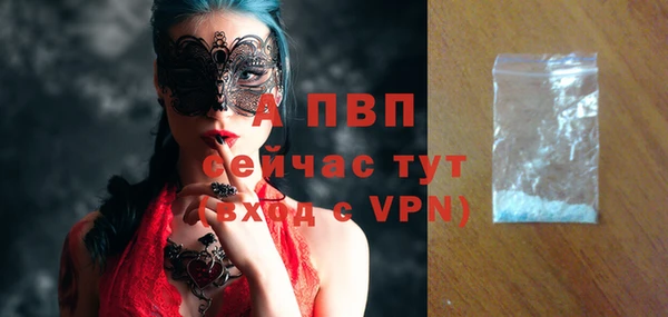 спайс Михайлов