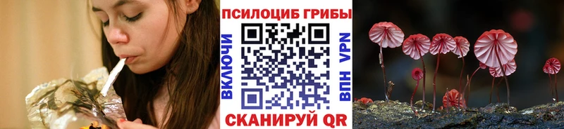 магазин продажи наркотиков  Мыски  Псилоцибиновые грибы мицелий 