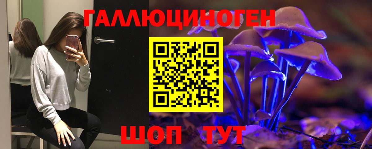 Галлюциногенные грибы мицелий Мыски